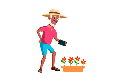 Old Man Photographing Flowers In Garden Vector