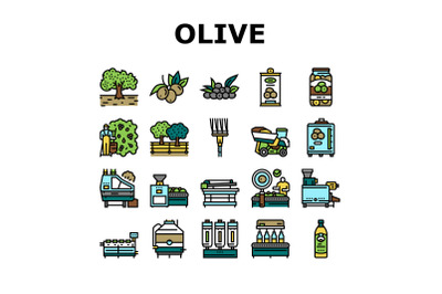 Olive Production And Harvesting Icons Set Vector