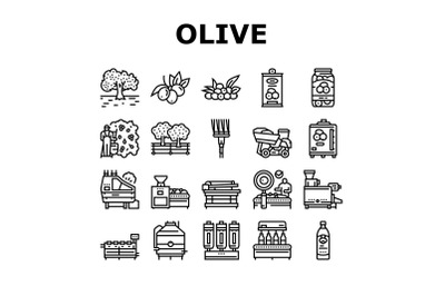 Olive Production And Harvesting Icons Set Vector