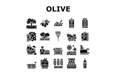 Olive Production And Harvesting Icons Set Vector