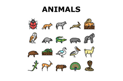 Wild Animals&2C; Bugs And Birds Icons Set Vector