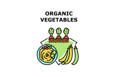 Organic Vegetables Concept Color Illustration