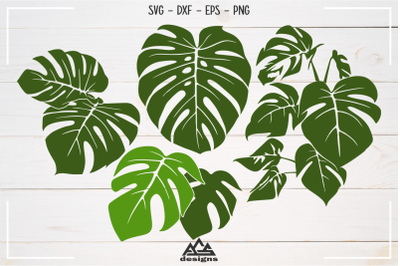 Tropical Leafs Pack Svg Design