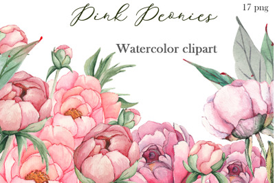 Watercolor Pink Peonies Flowers Clipart