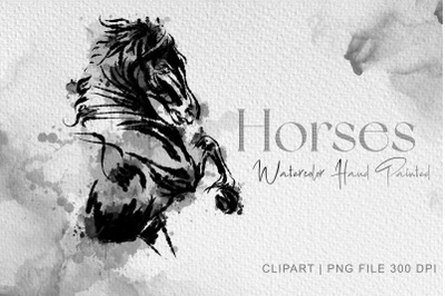 Wild Horse clipart, Watercolor Horse Clipart