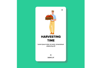 Man Harvesting Time Occupation In Orchard Vector