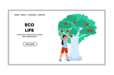 Eco Life And Eating Vitamin Fruit In Garden Vector