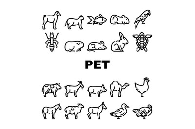 Pet Domestic&2C; Farm And Sea Aqua Icons Set Vector