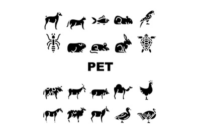 Pet Domestic, Farm And Sea Aqua Icons Set Vector