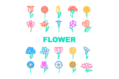 Flower Natural Aromatic Plant Icons Set Vector