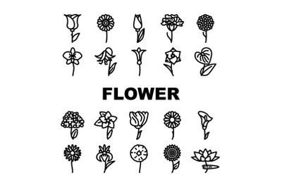 Flower Natural Aromatic Plant Icons Set Vector