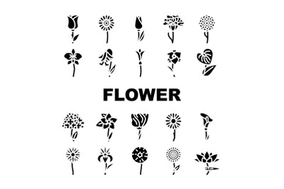 Flower Natural Aromatic Plant Icons Set Vector