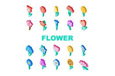 Flower Natural Aromatic Plant Icons Set Vector