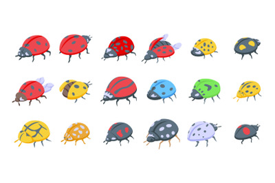 Insect ladybird icons set isometric vector. Child fly