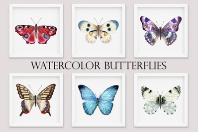 Watercolor butterflies. Cliparts set. Collection Illustrations.