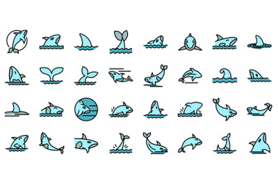 Killer whale icons set vector flat