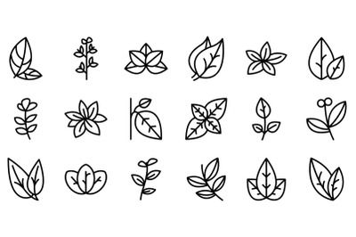 Oregano icons set outline vector. Herb aroma