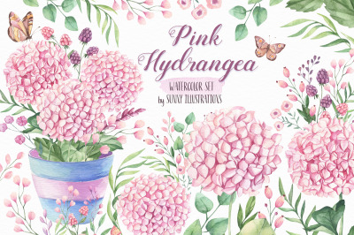 Pink Hydrangea - Watercolor Set