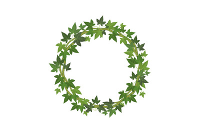 Green ivy circle frame. Wreath of fresh leaves decoration round plant