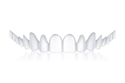 White denture. Realistic teeth. Upper jaw. Oral care and hygiene. Impl