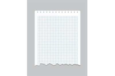 Torn notebook page. Realistic checkered sheet of paper with perforated