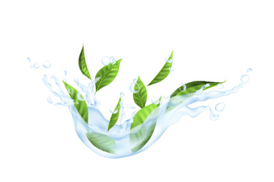 Tea leaves in water. Realistic plant in transparent splash of falling