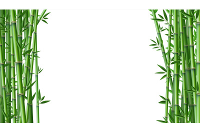 Bamboo background. Realistic framing banner with place for text. Green