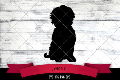 Cavoodle Silhouette Vector