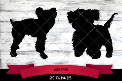 Yorkipoo Silhouette Vector