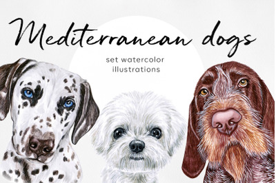 Mediterranean dog. Watercolor cute set 10 dogs breeds