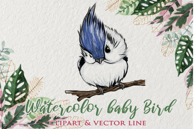 Baby bird clipart, watercolor illustrtation, baby bird png, Cute bird,