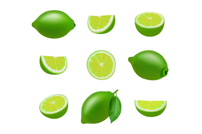 Lime. Realistic fresh sliced fruits with leaves decent vector limes co