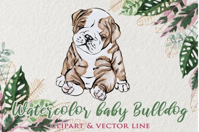 Baby English Bulldog clipart, watercolor illustrtation, Bulldog png, C