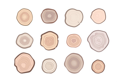 Wooden rings. Sawmill lumbers round forms growth tree textures lines o