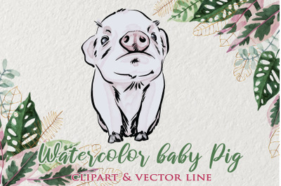 Baby pig clipart, watercolor illustrtation, baby pig png, Cute pig, Wo