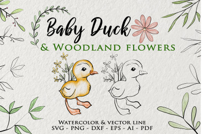 Baby duck clipart, Watercolor woodland flowers set, Woodland Animals