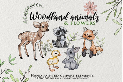 Woodland animals clipart, Watercolor Forest Animal Clip Art, Wild PNG