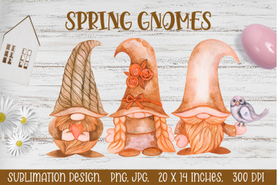 Spring Gnomes. Spring Sublimation. Watercolor Gnome.