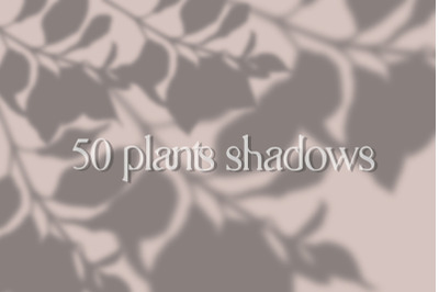 50 plants shadows