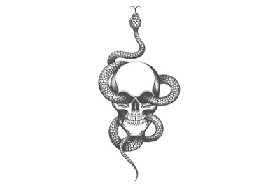 Skull and Snake Tattoo drawn in engraving style