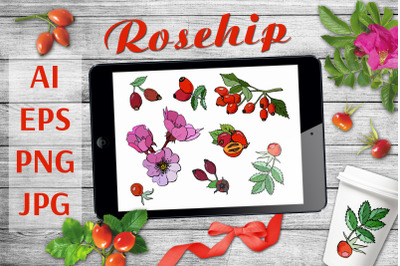 Rosehip