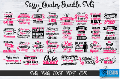 Sassy Quotes Bundle, Sassy SVG, Sarcastic Quotes SVG, vol.2