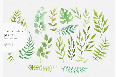 Watercolor &amp; Graphic Plants Pack