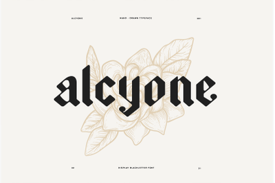 Alcyone Display Font + Illustrations