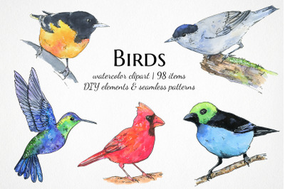 Watercolor swallow birds, tropical birds seamless patterns