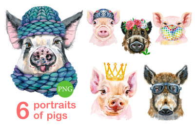 Cute watercolor pigs. Part 4