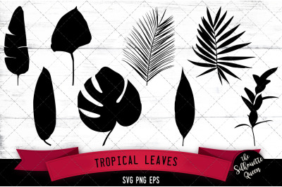 Tropical Leaves Silhouette Vector