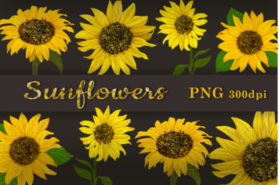 Sunflowers clipart. Sublimation. Decorative flowers.