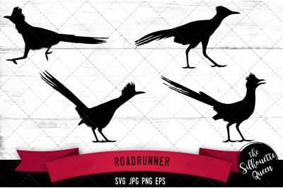 Roadrunner Silhouette Vector