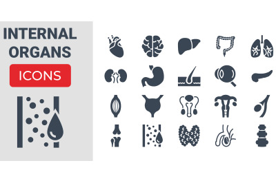 Internal Organs Icons Set